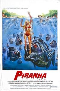 Ilustracja Piranha 02