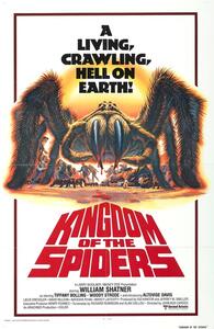 Ilustracja Kingdom Of The Spiders 02