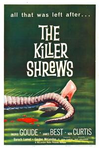 Ilustracja Killer Shrews