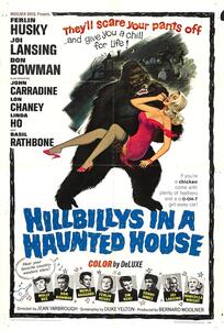 Ilustracja Hillbillys In Haunted House