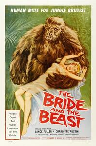 Ilustracja Bride And Beast