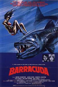 Ilustracja Barracuda