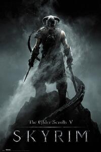 Plakat, Obraz Skyrim - Dragonborn