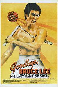 Ilustracja Goodbye Bruce Lee