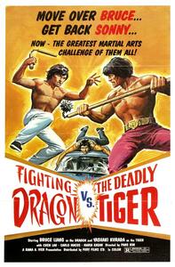 Ilustracja Fighting Dragon Vs Deadly Tiger