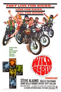 Ilustracja Wild Rebels