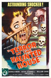 Ilustracja Terror In Haunted House