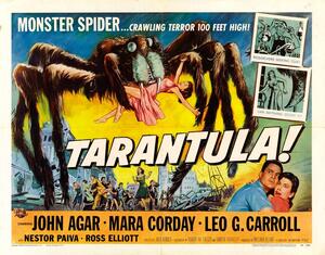 Ilustracja Tarantula 02