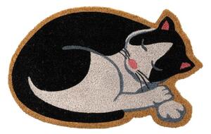 Wycieraczka z włókna kokosowego 40x60 cm Cat – Casa Selección