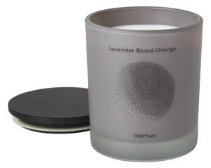 Świeca zapachowa L Lavender-Blood Orange Flavo Blomus