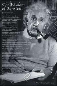 Plakat, Obraz Wisdom of Einstein