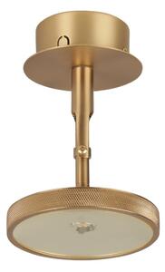 Lampa punktowa LED w kolorze złota ø 12 cm Asteria Spot – UMAGE