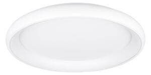 Biała lampa sufitowa LED ze ściemniaczem Cardona – Trio
