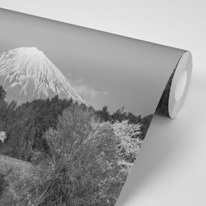 Samoprzylepna fototapeta góra Fuji w czerni i bieli
