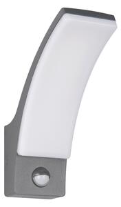 Zewnętrzna lampa ścienna LED (wysokość 22,5 cm) Beja – Reality
