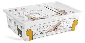 Biały plastikowy pojemnik z pokrywką 55x39x16 cm C Box Style – KIS