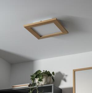 Brilagi Brilagi - Ściemnialne oświetlenie LED SLIMFRAME WOOD LED/25W/230V 34x34 cm + pilot BG1536A