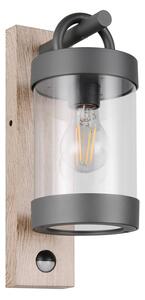 Zewnętrzna lampa ścienna (wysokość 33 cm) Sambesi – Trio