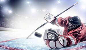 Fotografia Ice Hockey Goalie, Dmytro Aksonov