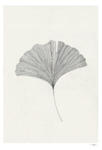 Plakat 50x70 cm Ginkgo Leaf – Ana Frois – The Poster Club
