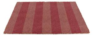 Wycieraczka z włókna kokosowego 40x60 cm Pink Stripe – Artsy Doormats
