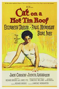 Ilustracja Cat on a Hot Tin Roof Elizabeth Taylor