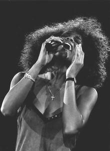 Fotografia Whitney Houston 1988