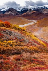 Fotografia One Autumn Morning, Kal K / 500px