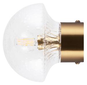 Globen Lighting - Fungo 16 Lampa Ścienna/Lampa Sufitowa IP44 Przezroczysty/Szczotkowany Mosiądz -