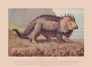 Ilustracja Triceratops prorsus chromolithograph published in 1900, ZU_09