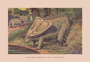 Ilustracja Torosaurus and Monoclonius Cretaceous period chromolithograph, ZU_09