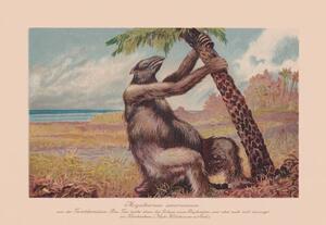 Ilustracja Megatherium americanum extinct giant ground sloth, ZU_09