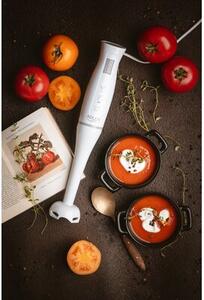 Blender ADLER AD 4622