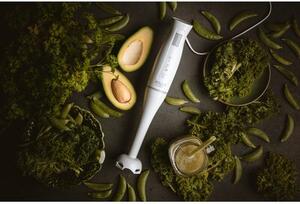 Blender ADLER AD 4622