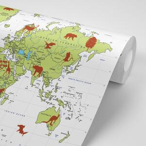 Tapeta mapa ze zwierzętami
