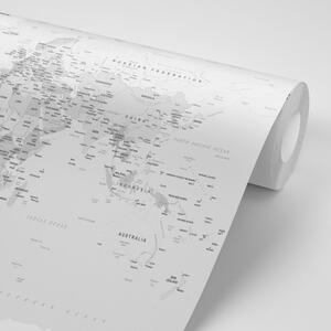 Tapeta klasyczna czarno-biała mapa z obramowaniem