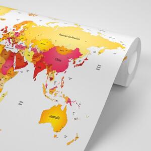 Samoprzylepna tapeta mapa świata w kolorach
