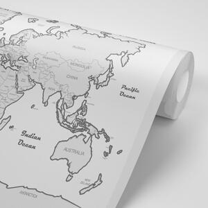 Tapeta mapa świata z szarą obwódką