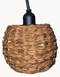 Lampa solarna Pine Light
