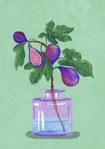 Ilustracja Figs Branch In Vase, Raissa Oltmanns