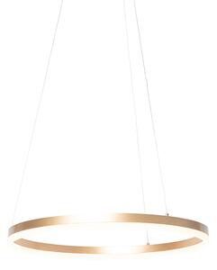 Designerska lampa wisząca złota 60cm LED 3-stopniowe ściemnianie - Anello Oswietlenie wewnetrzne