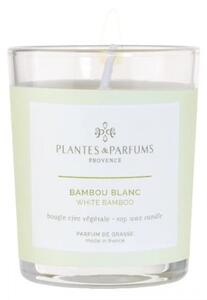 Świeca zapachowa perfumowana 75g - White Bamboo - Biały Bambus