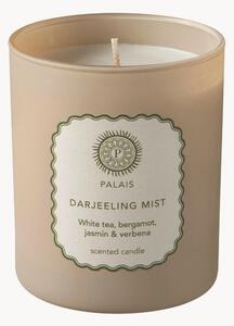 Świeca zapachowa Darjeeling Mist (owoce, cytryna, zioła)