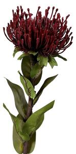 Sztuczny kwiat (wysokość 74 cm) Protea – Ego Dekor