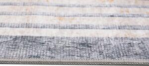 Szary klasyczny dywan ze wzorem typu marmur i ramką - Fasato 6X