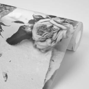 Fototapeta czarno-białe róże w rozkwicie
