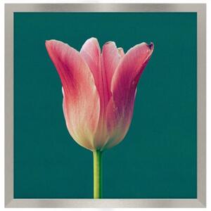 Srebrna ramka na zdjęcia w rozmiarze 40x40 cm FRAMAI®