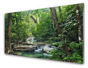 Obraz Szklany Leśny Las Natura Przyroda