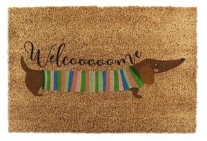 Wycieraczka z włókna kokosowego 40x60 cm Welcome Sausage Dog – Artsy Doormats