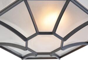 Zewnetrzna Wiejska lampa sufitowa ciemnoszara IP44 - Bri L Oswietlenie zewnetrzne